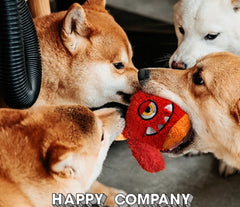 Aktywna piłka Monster Dog