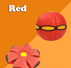 💥Piesska kula dyskowa💞