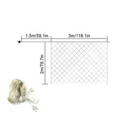 Słoneczne światło kabaretki