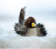 Interaktywna zabawka dla kota