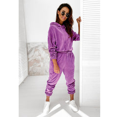 👩2024 nowy jesienno-zimowy kombinezon sportowy ze złotego aksamitu z kapturem 👚👟