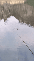 Inteligentny automatyczny spławik wędkarski o wysokiej czułości