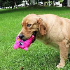 Aktywna piłka Monster Dog