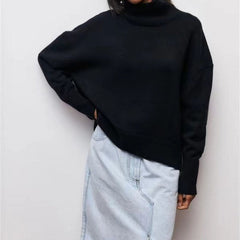 Turtleneck Knitted Pullover