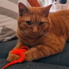 🔥 Pisana na maszynie piłka Jiggle dla kota